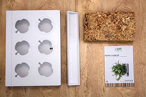 Mini Jardin Vertical Blanco para 6 Plantas con Sustrato Natural Premium e Instrucciones. Cuadro Vegetal, Maceta de Pared, Maceta para Colgar.