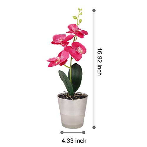 Mini suculentas artificiales en maceta, orquídea con jarrón de cristal, flores de fuax, juegos de 5 plantas falsas, para decoración de escritorio, interior/exterior/salón, oficina, jardín, fiesta