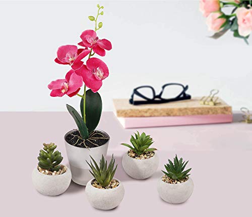 Mini suculentas artificiales en maceta, orquídea con jarrón de cristal, flores de fuax, juegos de 5 plantas falsas, para decoración de escritorio, interior/exterior/salón, oficina, jardín, fiesta