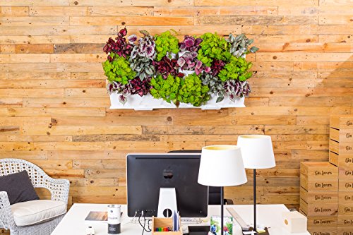 minigarden 1 Juego Vertical para 9 Plantas, Jardín Vertical Modular y Extensible, Colocar en el Suelo o Colgar en la Pared, Mecanismo de Drenaje Innovador, Largo Ciclo de Vida (Gris)