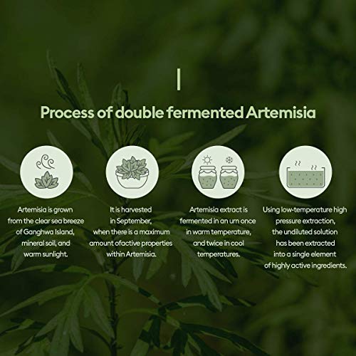 Missha Time Revolution Artemisia Tratamiento Esencia 150 ml