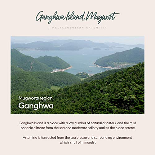 Missha Time Revolution Artemisia Tratamiento Esencia 150 ml