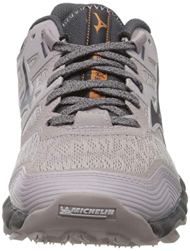 Mizuno Wave Hayate 6, Zapatillas de Running para Asfalto para Mujer, Gris (Cloudburst/Pscope/10135 C 36), 42 EU
