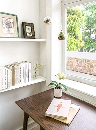 Mkouo 2 Unidades para Colgar Maceta de depósito de jarrón de Cristal del terrario Flor Maceta Decoración del hogar - Orb y lágrima