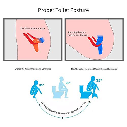 MNNE Multifuncional Plegable Eyacular Aseo Escabel Compacto baño Antideslizante Aseo Escabel Adecuado para Todos los Sanitarios y Cuartos de baño Que Ayuda a aliviar el estreñimiento