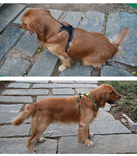 Mokcci - Arnés reflectante para perro, frontal suave, antitirones, con asa y 2 correas