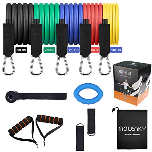 Molenky Juego de Bandas de Resistencia, 12pcs Bandas Elasticas Bandas Ejercicio con Fortalecedores de Mano, Manijas de Espuma, Correas para Tobillos, Ancla de Puerta para Fitness Fuerza Adelgazar