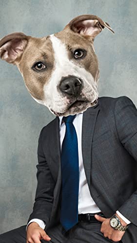 Montaje de fotos de cara de perro