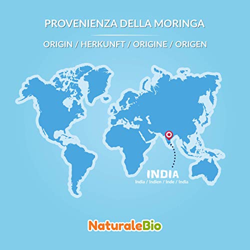 Moringa Oleifera Ecológica en Polvo [Calidad Premium] de 400g. Moringa Powder Organica, 100% Bio, Natural y Pura. Hojas Recogidas de la Planta de Moringa Oleífera. NaturaleBio