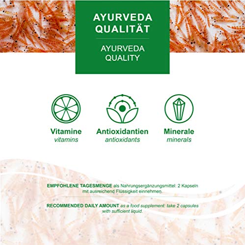 MoriVeda® - Cápsulas de aceite de Krill Superba: aceite de krill premium con Omega 3,6,9, astaxantina esterificada, fosfolípidos, colina, vitamina E (1x60 cápsulas)