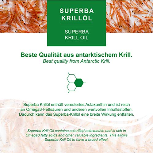 MoriVeda® - Cápsulas de aceite de Krill Superba: aceite de krill premium con Omega 3,6,9, astaxantina esterificada, fosfolípidos, colina, vitamina E (1x60 cápsulas)