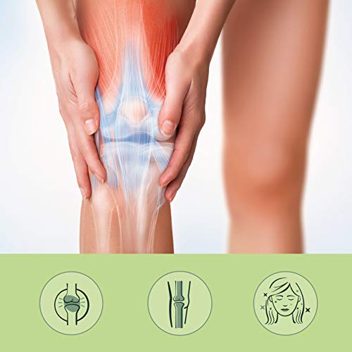 MSM en Polvo Vegavero® | EL ÚNICO 99% PURO | 1 kg | Sin Aditivos | Producto Premiado | Testado en Laboratorio | Antiinflamatorio Natural + Dolor Espalda + Articulaciones