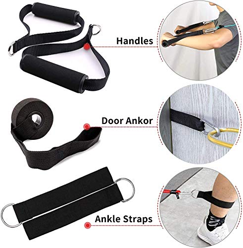 Muljexno Conjunto de Bandas de Resistencia, Correas para los Tobillos de Las piernas para Entrenamiento de Resistencia, Fisioterapia, Equipo de Ejercicios para el hogar