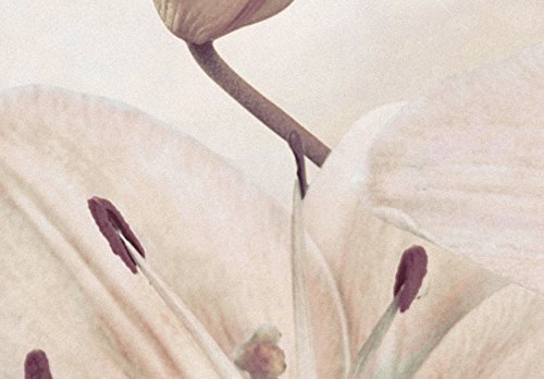 murando - Cuadro en Lienzo 200x100 cm Flores Impresión de 5 Piezas Material Tejido no Tejido Impresión Artística Imagen Gráfica Decoracion de Pared b-A-0297-b-n