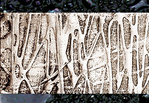 murando - Cuadro en Lienzo 200x100 - Impresión de 5 Piezas Material Tejido no Tejido Impresión Artística Imagen Gráfica Decoracion de Pared Abstracto 020101-157