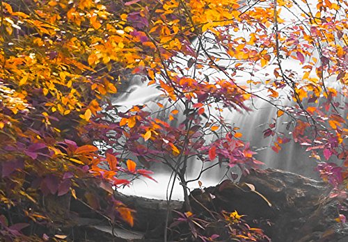 murando - Cuadro en Lienzo Buda 200x100 cm Impresión de 5 Piezas Material Tejido no Tejido Impresión Artística Imagen Gráfica Decoracion de Pared Oriente Zen Cascada c-A-0021-b-p