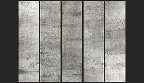 murando - Fotomurales PURO 10 m - Papel pintado tejido no tejido - hormigon gris f-A-0050-j-a