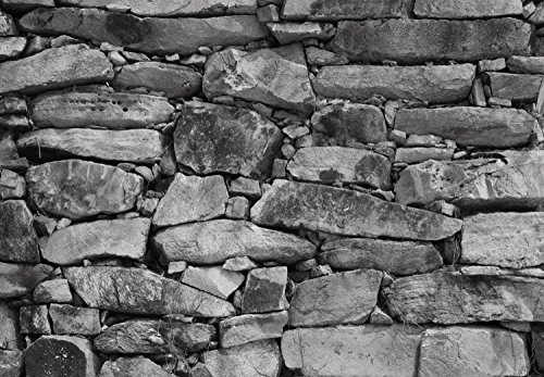 murimage Papel Pintado Piedras en Muro 366 x 254 cm Incluyendo Pegamento Fotomurales Vista 3D Blanco y Negro Casa Rural Sala Living Baño