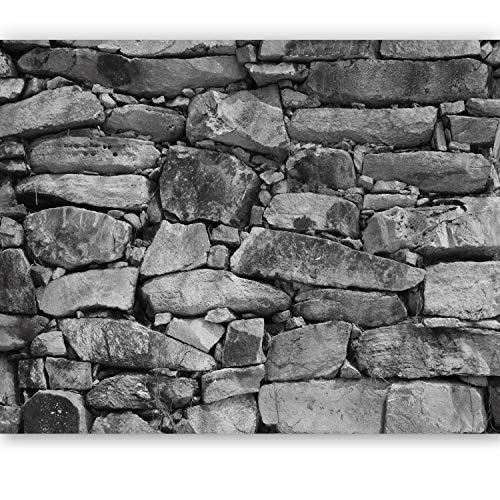 murimage Papel Pintado Piedras en Muro 366 x 254 cm Incluyendo Pegamento Fotomurales Vista 3D Blanco y Negro Casa Rural Sala Living Baño