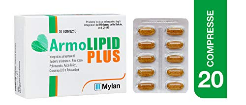 Mylan 154277.0 Armolipid Plus 20 Comp