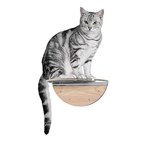 MYZOO Lack Round Clear, Wall Mounted Cat Shelves, Floating Cat Tree, Window Perch, Made of Solid Wood (One Piece)