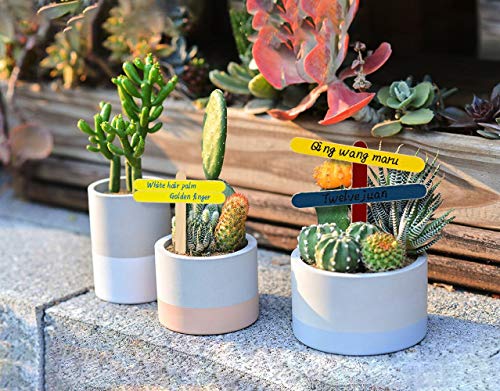 Nacare 100 Piezas de Madera Natural Palos Artesanales, Palitos Cera, Aplicador de Cera, Espatulas para Cera, Espátulas Tamaño 150 x 18 x 1 mm