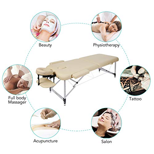 Naipo Camilla de Masaje Plegable de 2 Secciones Cama Estética Profesional y Portátil con Patas de Aluminio, Bolsa de Transporte, Reposacabezas y Apoyabrazos Desmontables , 11.6kg 213*90cm