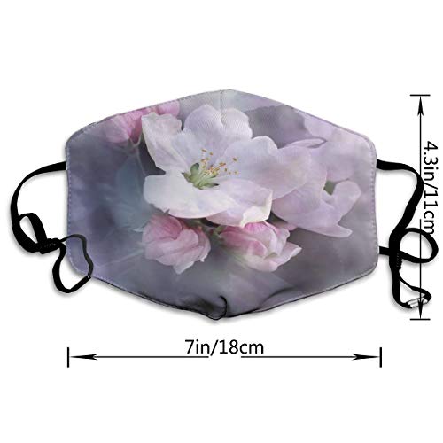 naizi Material transpirable de algodón reutilizable, protecciones faciales de doble capa para exteriores, protecciones faciales de impresión para mujeres y hombres, multicolor