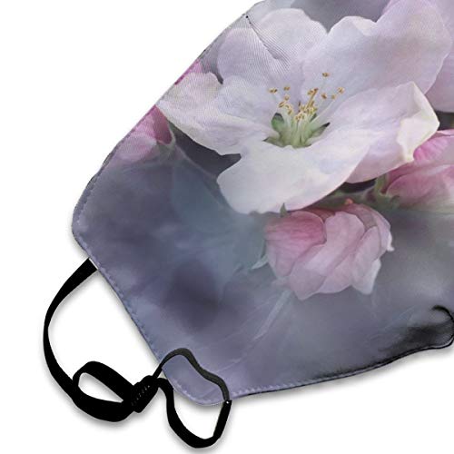 naizi Material transpirable de algodón reutilizable, protecciones faciales de doble capa para exteriores, protecciones faciales de impresión para mujeres y hombres, multicolor