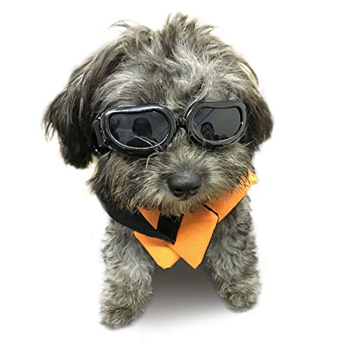 Namsan Pet Goggles Gafas de sol para perros Impermeables a Prueba de Viento Puppy Goggles Anti-niebla Protección UV Gafas de sol para Gatos y perros Pequeños