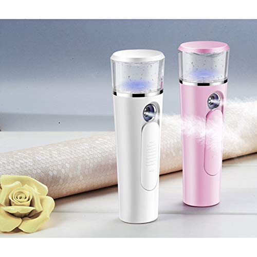 Nano ion Hidratante Limpiador Facial Vaporizador Facial Humidificador Facial Sistema Hidratante spa en el Hogar Belleza Facial nano Facial Humectador para la Piel (Pink)