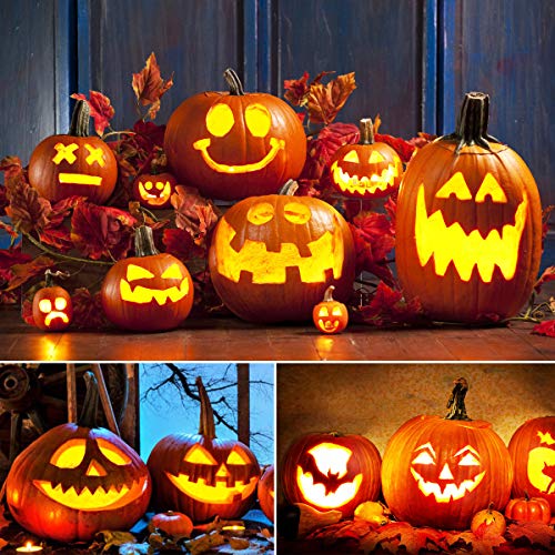 NASUM Kit de Talla de Calabaza Halloween, Herramienta de Talla de Calabaza, Pumpkin Carving Kit Acero Inoxidable, Decoración de Halloween (14PCS)