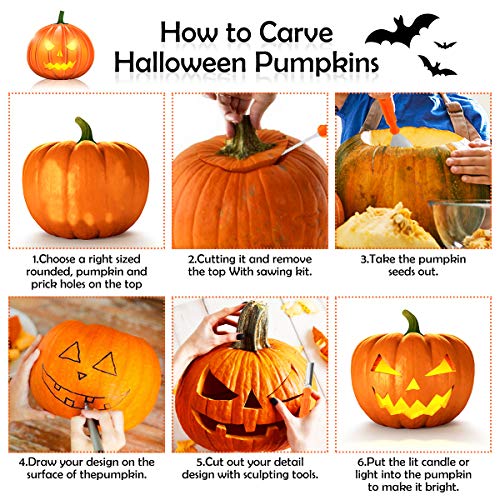 NASUM Kit de Talla de Calabaza Halloween, Herramienta de Talla de Calabaza, Pumpkin Carving Kit Acero Inoxidable, Decoración de Halloween (14PCS)