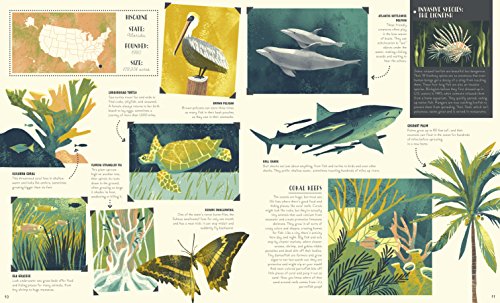 National Parks of the USA