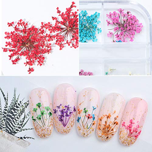 NATUCE Decoración de Uñas Flores Secas para Arte de Uñas, Natural Flor Seca de Uñas Manicura Decoracion 3d Flor Arte de Uñas Accesorio - 3 cajas, 12 colores/caja