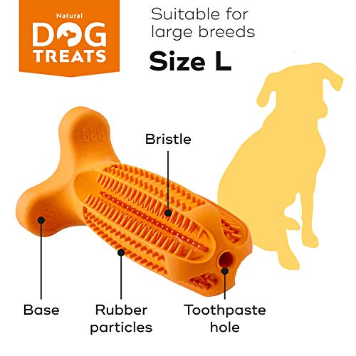 Natural Dog Treats Cepillo de Dientes y Dentífrico Set para Perros, 100% Natural Caucho Dog Brushing Stick, Juguete para Masticar, Tall Large