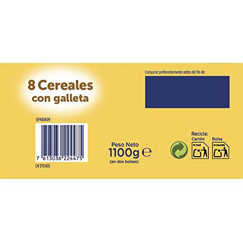 NESTLE Nestum Expert 8 Cereales con Galleta 1100 g