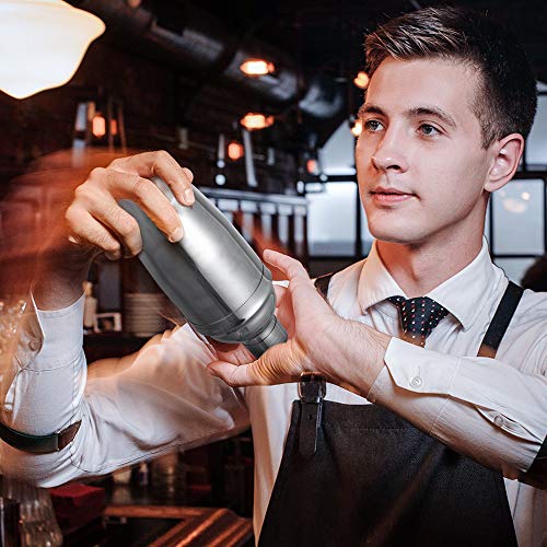 Newdora Cocteleras para Cocteles y Accesorios Profesional, Juego de Cockteleras de Calidad Acero Inoxidable, 15 PCS Hacer Cócteles, 750 ml Cocktail Shaker, Recetas de Cócteles