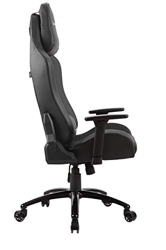 Newskill Takamikura - Silla gaming profesional (inclinación y altura regulable, reposabrazos ajustables, reclinable 180º), Color Negra