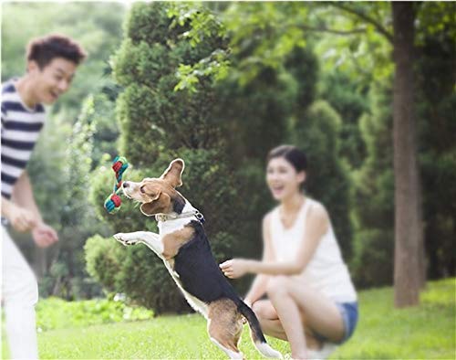 Nifogo Cuerda De Juguete para Perro,Juguete De Cuerda De Algodón, Juego De Juguete Interactivo De Tamaño Pequeño y Mediano, Herramienta De Entrenamiento del Perro (Color Mezclado, 10PC)