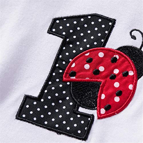 NNJXD Recién Nacida Tutú Primer Cumpleaños 3 Piezas Trajes Mameluco + Falda y Diadema Tamaño (1) 1 Año Negro