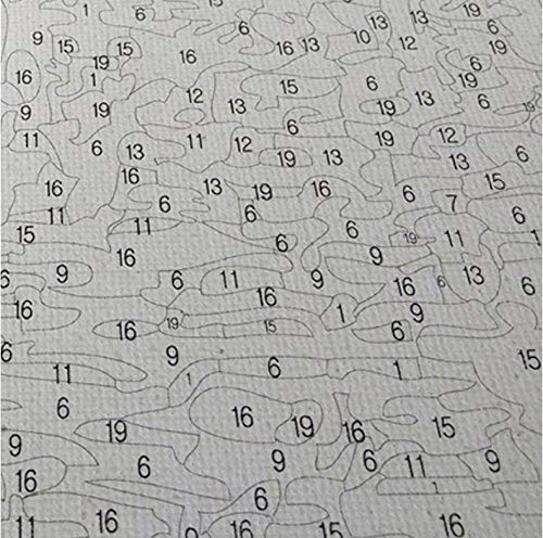 Nobranded Juego De Manualidad, Pintura por Números para Adultos Y Niños Paisaje Azalea Cártamo 40X50Cm