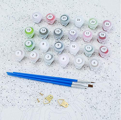 Nobranded Juego De Manualidad, Pintura por Números para Adultos Y Niños Paisaje Azalea Cártamo 40X50Cm