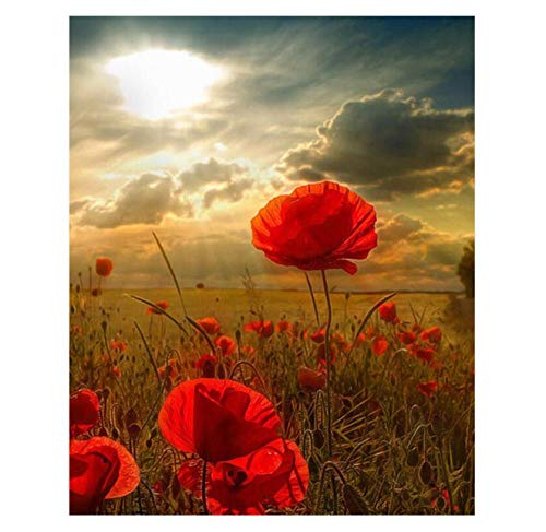 Nobranded Juego De Manualidad, Pintura por Números para Adultos Y Niños Paisaje Azalea Cártamo 40X50Cm