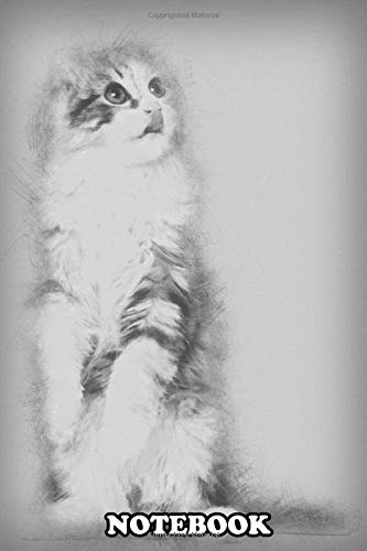 Notebook: American Curl Kitten 3 Months Old Standing On Hind Leg , Journal for Writing, College Ruled Size 6" x 9", 110 Pages
