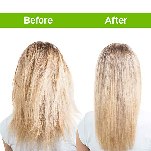 Novex Mascarilla Aloe Vera, 400 ml, Pack de 1