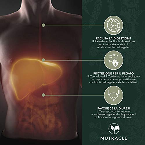 NUTRACLE - 100 tabletas FEGADEP de 400 mg Para purificar y desintoxicar el hígado y el tracto biliar - Acción diurética y hepatoprotectora - Con diente de león, alcachofa, Cardo Mariano y ruibarbo