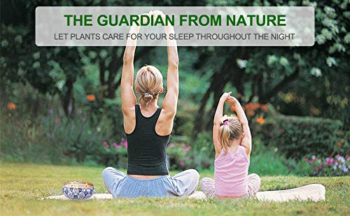 OFUN Velas citronela antimosquitos exterior, 3pcs vela aromaticas grande perfumadas de naturales soja para jardín, camping, viajes, regalos, Exteriores, contra insectos, 500g * 3 mechas para velas