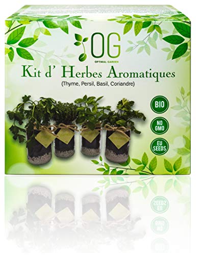 OG Huerto Urbano - Kit Completo de 4 Hierbas aromáticas (Tomillo, Cilantro, Albahaca y Perejil), 100% Semillas Bio, NO GMO y Origen EU. Todo Incluido para Cultivar Fácilmente Tus Hierbas Frescas.