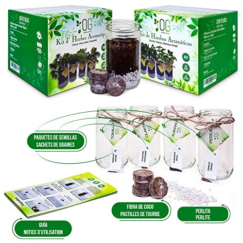 OG Huerto Urbano - Kit Completo de 4 Hierbas aromáticas (Tomillo, Cilantro, Albahaca y Perejil), 100% Semillas Bio, NO GMO y Origen EU. Todo Incluido para Cultivar Fácilmente Tus Hierbas Frescas.